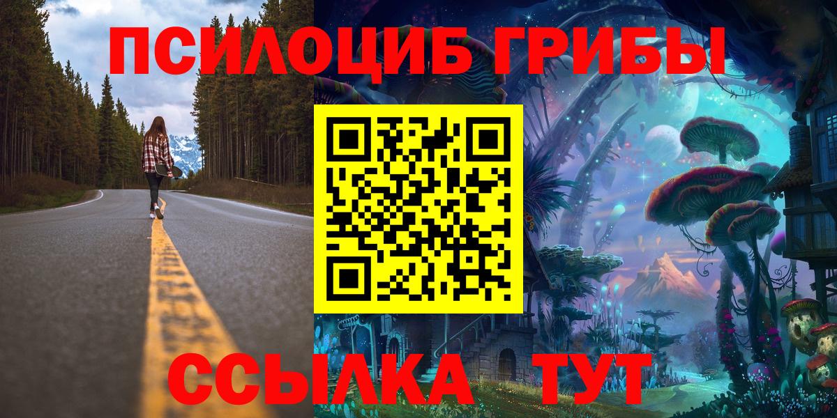 Галлюциногенные грибы Psilocybe  Вход с VPN  Каменск-Уральский  Псилоцибиновые грибы ЛСД 